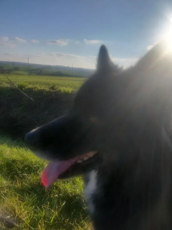 Photo Balou